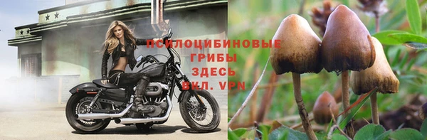 индика Баксан