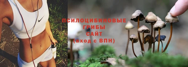 индика Баксан
