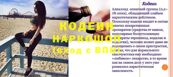 индика Баксан