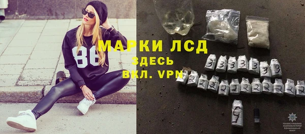 индика Баксан