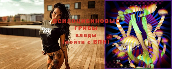 индика Баксан