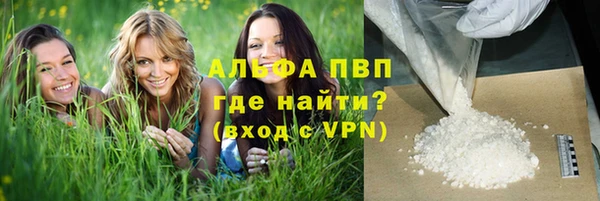 индика Баксан